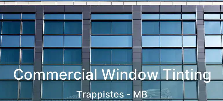  Commercial Window Tinting Trappistes - MB