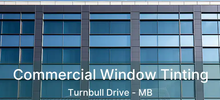  Commercial Window Tinting Turnbull Drive - MB