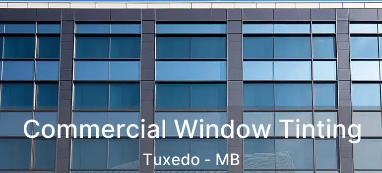  Commercial Window Tinting Tuxedo - MB