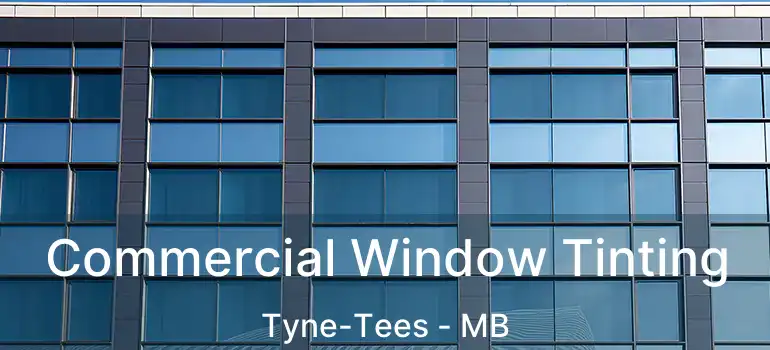  Commercial Window Tinting Tyne-Tees - MB