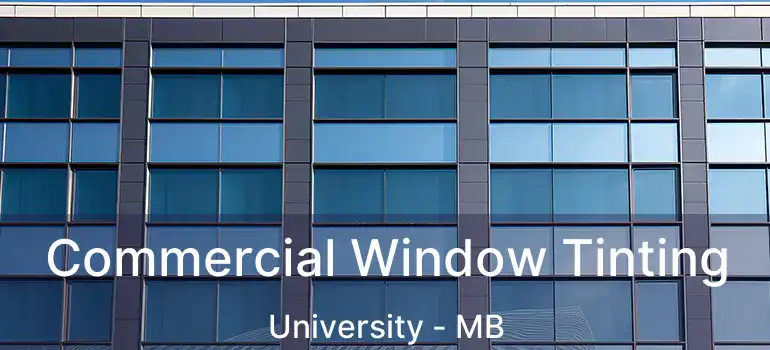  Commercial Window Tinting University - MB