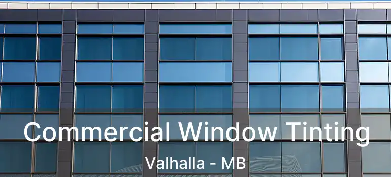 Commercial Window Tinting Valhalla - MB