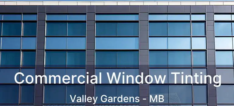  Commercial Window Tinting Valley Gardens - MB