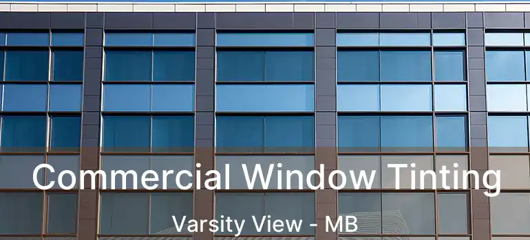  Commercial Window Tinting Varsity View - MB