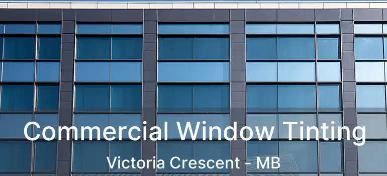  Commercial Window Tinting Victoria Crescent - MB