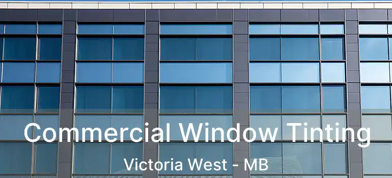  Commercial Window Tinting Victoria West - MB