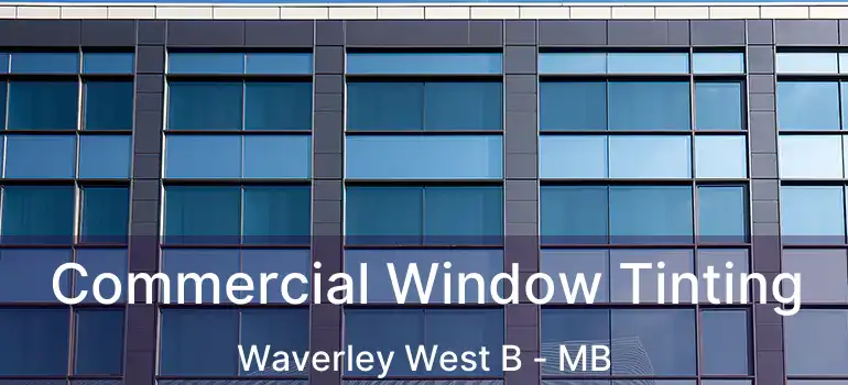  Commercial Window Tinting Waverley West B - MB