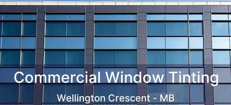  Commercial Window Tinting Wellington Crescent - MB