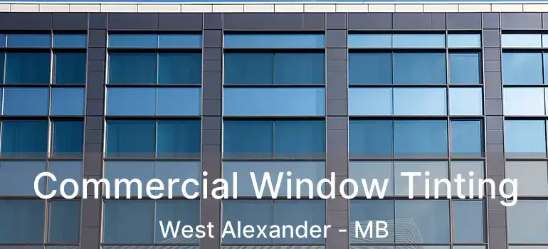  Commercial Window Tinting West Alexander - MB