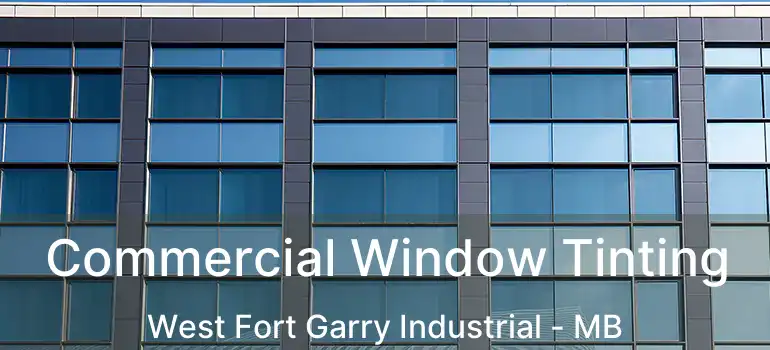  Commercial Window Tinting West Fort Garry Industrial - MB