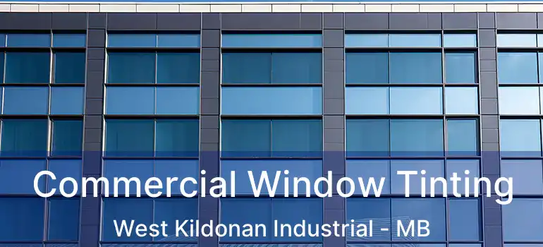  Commercial Window Tinting West Kildonan Industrial - MB