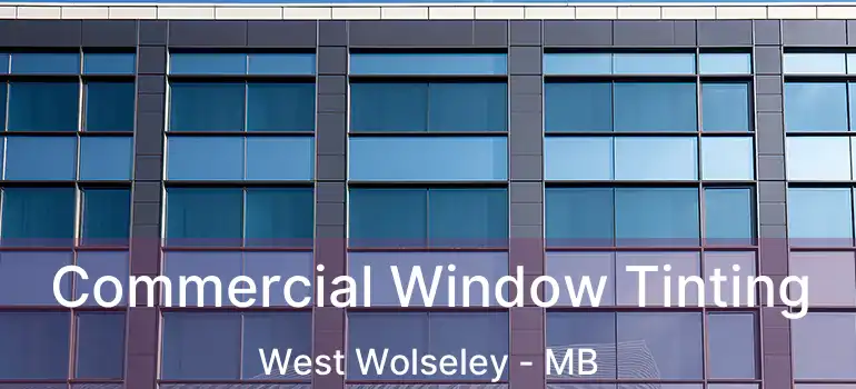  Commercial Window Tinting West Wolseley - MB