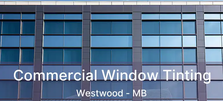  Commercial Window Tinting Westwood - MB