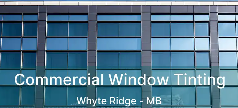  Commercial Window Tinting Whyte Ridge - MB