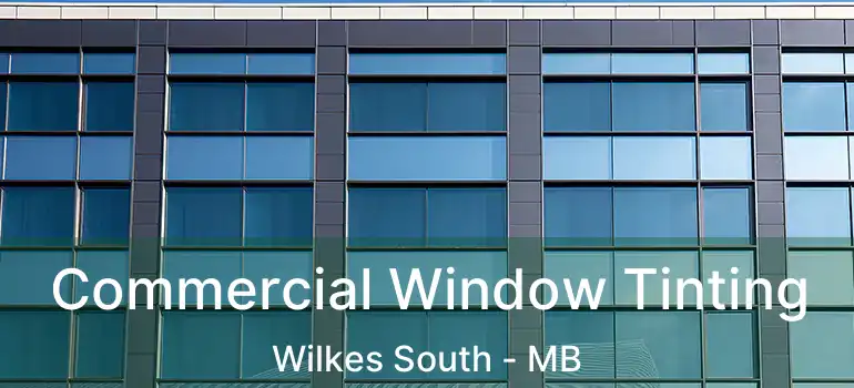  Commercial Window Tinting Wilkes South - MB