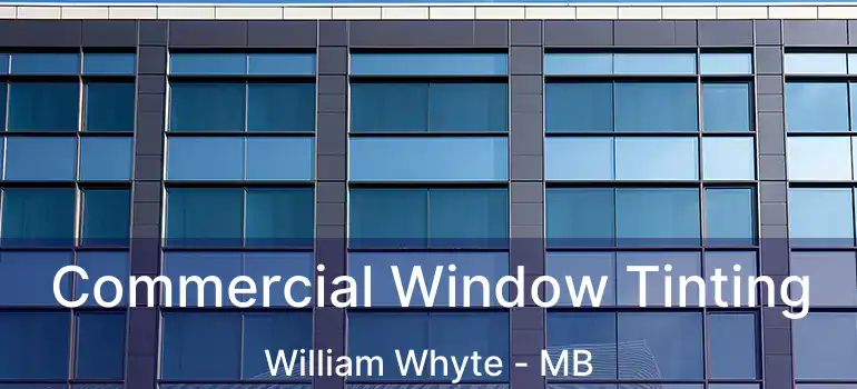  Commercial Window Tinting William Whyte - MB