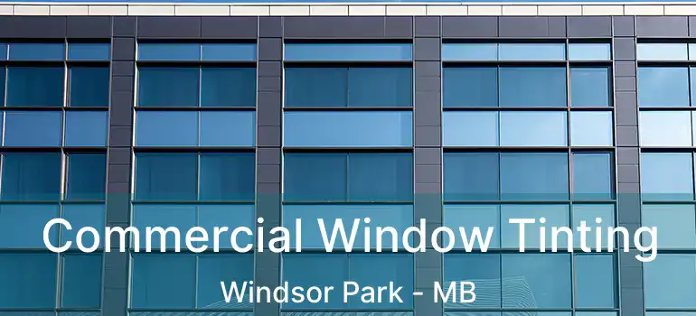  Commercial Window Tinting Windsor Park - MB