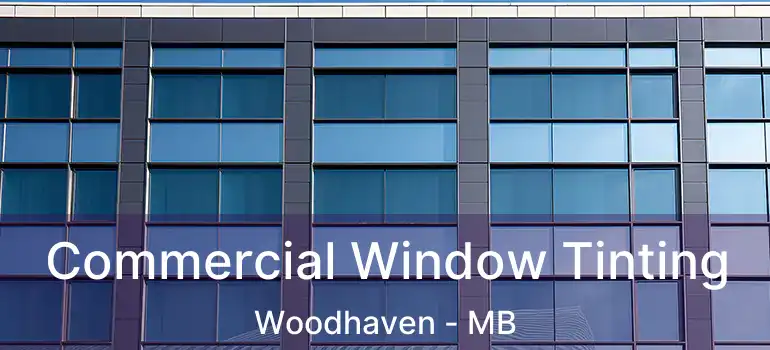  Commercial Window Tinting Woodhaven - MB