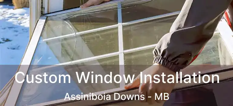 Custom Window Installation Assiniboia Downs - MB