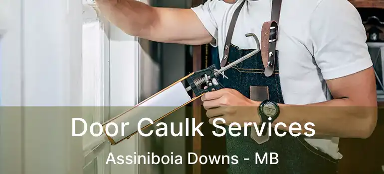  Door Caulk Services Assiniboia Downs - MB