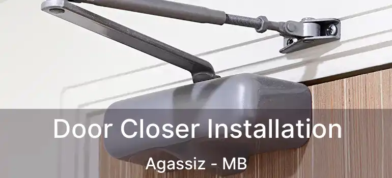  Door Closer Installation Agassiz - MB