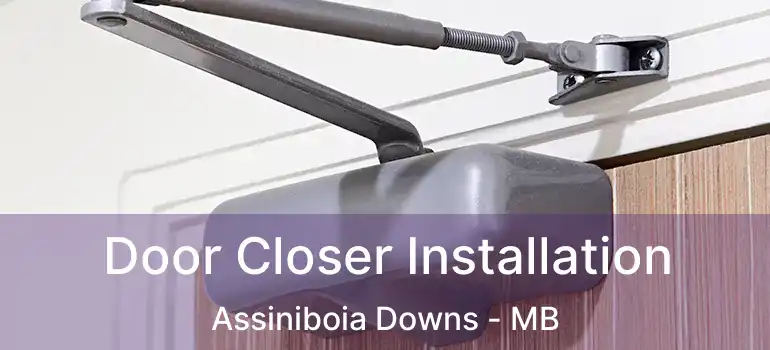  Door Closer Installation Assiniboia Downs - MB