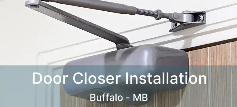  Door Closer Installation Buffalo - MB