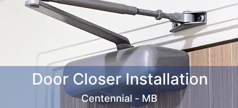 Door Closer Installation Centennial - MB