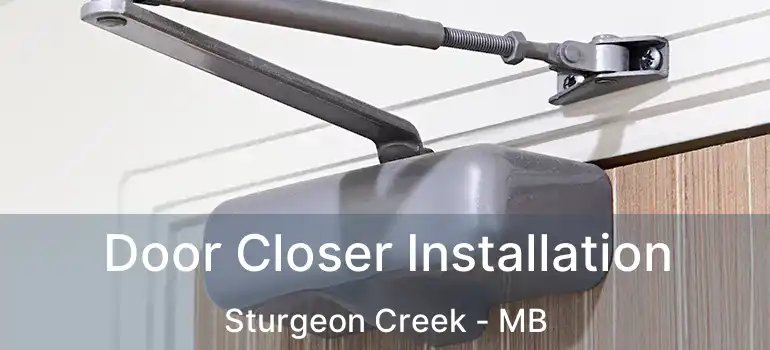  Door Closer Installation Sturgeon Creek - MB