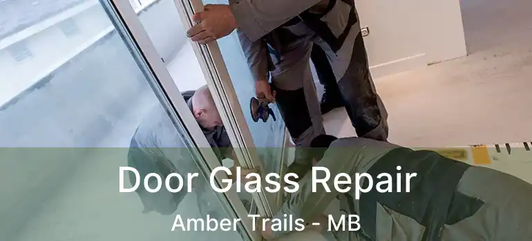  Door Glass Repair Amber Trails - MB