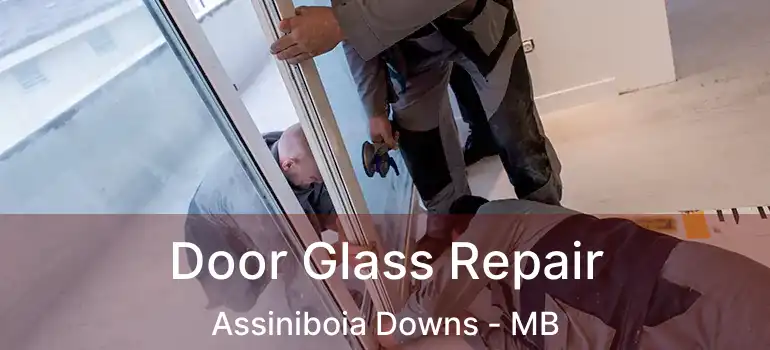  Door Glass Repair Assiniboia Downs - MB