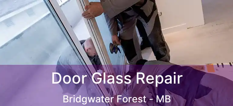  Door Glass Repair Bridgwater Forest - MB