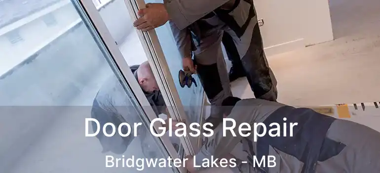  Door Glass Repair Bridgwater Lakes - MB