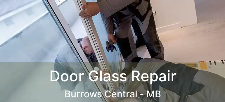  Door Glass Repair Burrows Central - MB