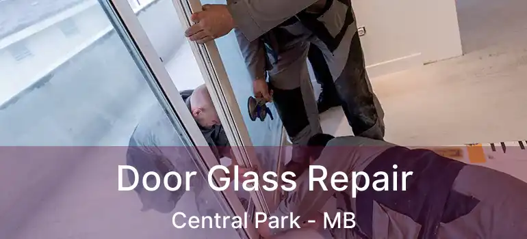  Door Glass Repair Central Park - MB