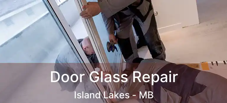  Door Glass Repair Island Lakes - MB