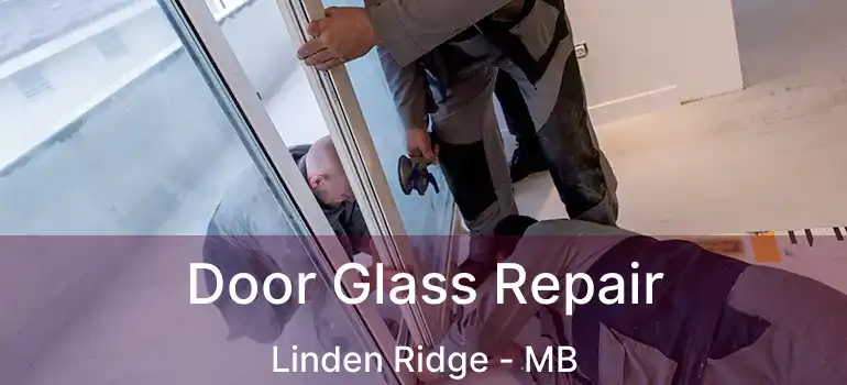  Door Glass Repair Linden Ridge - MB