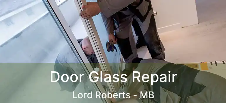  Door Glass Repair Lord Roberts - MB