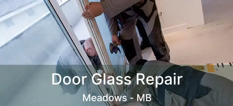  Door Glass Repair Meadows - MB