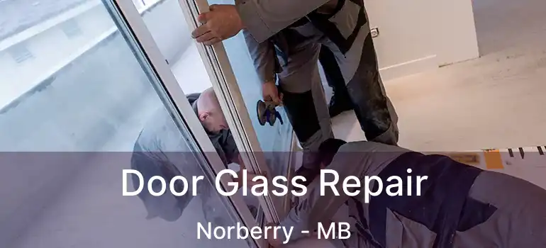 Door Glass Repair Norberry - MB