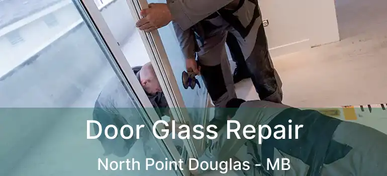  Door Glass Repair North Point Douglas - MB