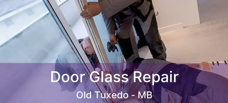  Door Glass Repair Old Tuxedo - MB