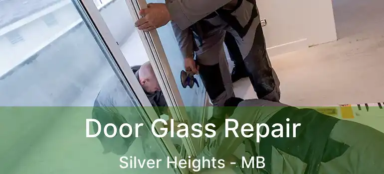  Door Glass Repair Silver Heights - MB