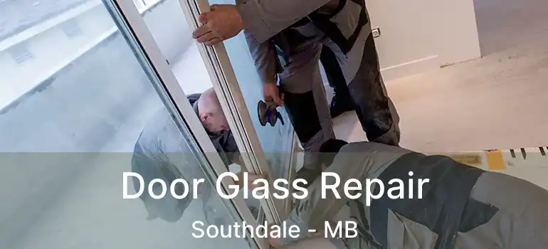  Door Glass Repair Southdale - MB