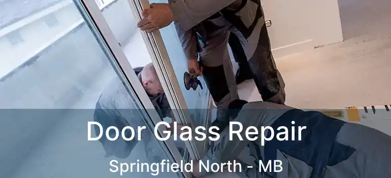  Door Glass Repair Springfield North - MB