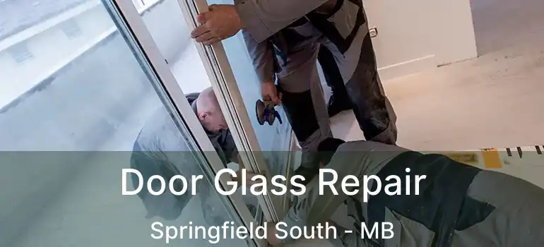  Door Glass Repair Springfield South - MB