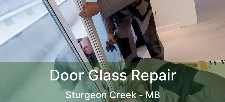 Door Glass Repair Sturgeon Creek - MB