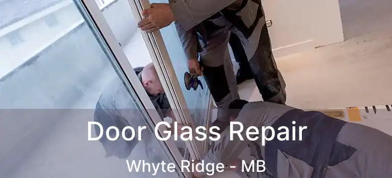  Door Glass Repair Whyte Ridge - MB