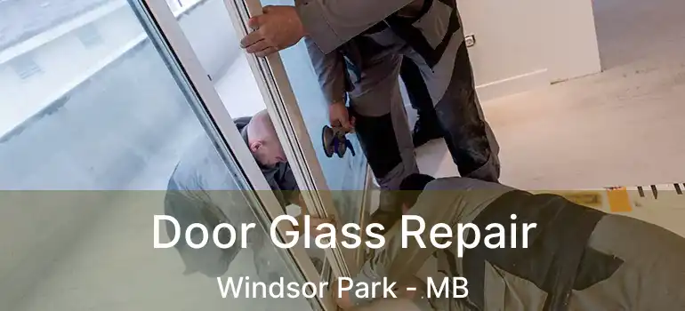  Door Glass Repair Windsor Park - MB
