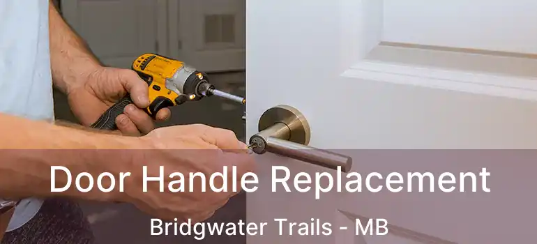  Door Handle Replacement Bridgwater Trails - MB